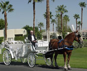 Wedding Connections featuring Coulson Carriage Company