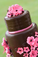 Hawaii Weddings and Events 