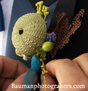 photo by Baumanphotographers.com
