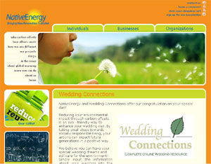 Native Energy